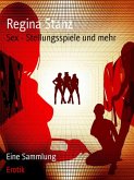 Sex - Stellungsspiele und mehr (eBook, ePUB)