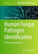 Human Fungal Pathogen Identification - Bild 1