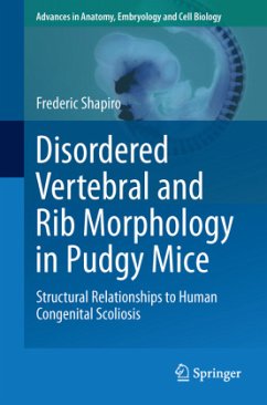 Disordered Vertebral and Rib Morphology in Pudgy Mice - Shapiro, Frederic