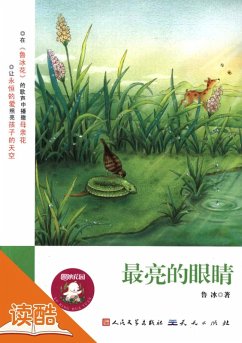 Brightest Eyes (Ducool Masterpiece Hand-painted Illustration Edition) (eBook, ePUB) - Bing, Lu