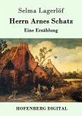 Herrn Arnes Schatz (eBook, ePUB)