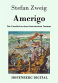 Amerigo (eBook, ePUB)