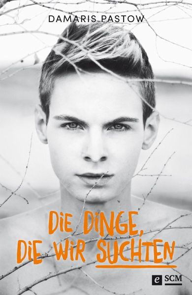 Die Dinge, die wir suchten (eBook, ePUB)