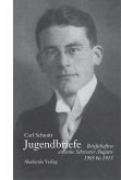 Carl Schmitt - Jugendbriefe (eBook, PDF)