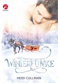 Winterfunke (eBook, ePUB)