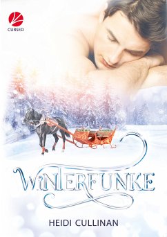 Winterfunke (eBook, ePUB) - Cullinan, Heidi