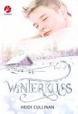 Winterkuss (eBook, ePUB)