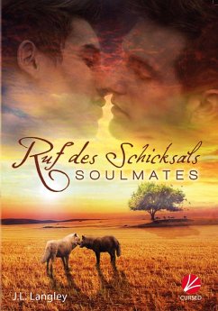 Soulmates: Ruf des Schicksals (eBook, ePUB) - Langley, J. L.