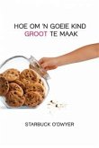 Hoe Om 'n Goeie Kind Groot Te Maak (eBook, ePUB)
