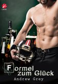 Formel zum Glück (eBook, ePUB)