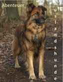 Abenteuer Auslandshunde (eBook, ePUB)