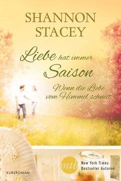 Wenn die Liebe vom Himmel schneit (eBook, ePUB) - Stacey, Shannon