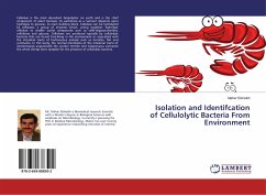 Isolation and Identifcation of Cellulolytic Bacteria From Environment - Elsheikh, Maher