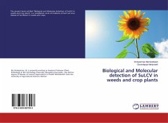 Biological and Molecular detection of SuLCV in weeds and crop plants - Marrisiddaiah, Vindyashree;Manjunath, Govindappa