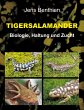 Tigersalamander - Bild 1