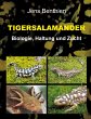 Tigersalamander - Bild 1