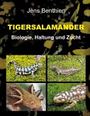 Tigersalamander