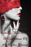 Satisfy Her Desire - A Collection Of 37 Erotic Stories (eBook, ePUB)