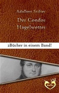 Der Condor / Hagelwetter (eBook, ePUB) - Stifter, Adalbert