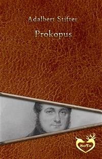 Prokopus (eBook, ePUB) - Stifter, Adalbert