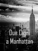 Due cigni a Manhattan (eBook, ePUB)