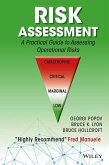 Risk Assessment (eBook, PDF)