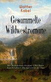 Gesammelte Wildwestromane (eBook, ePUB)