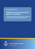 Protection of socio-economic rights in Zimbabwe. A critical assessment of the domestic framework under the 2013 Constitution of Zimbabwe (eBook, PDF)