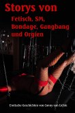 Storys von Fetisch, SM, Bondage, Gangbang und Orgien (eBook, ePUB)