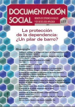 La protección de la dependencia : ¿un pilar de barro?