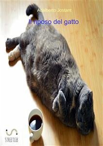 Il riposo del gatto (eBook, PDF) - Jostant, Adalberto