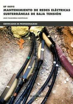 Mantenimiento de redes eléctricas subterráneas de baja tensión - Trashorras Montecelos, Jesús