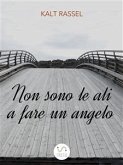 Non sono le ali a fare un angelo (eBook, ePUB)