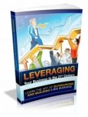 Leveraging your Bussinesses (eBook, PDF)