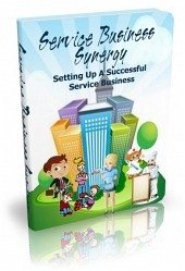 Service Business Synergy (eBook, PDF) - Collectif, Ouvrage