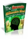 The Secrets to a Millionaire Mind (eBook, PDF)