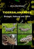 Tigersalamander (eBook, ePUB)
