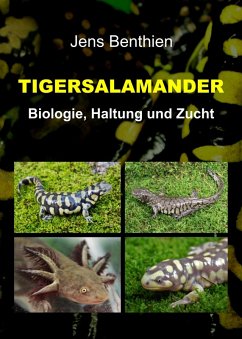 Tigersalamander (eBook, ePUB) - Benthien, Jens; Benthien, Jens