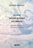 Novo sindicalismo no Brasil (eBook, ePUB)