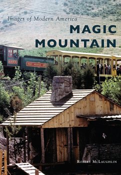 Magic Mountain (eBook, ePUB) - Mclaughlin, Robert