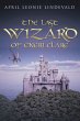 THE LAST WIZARD OF ENERI CLARE - Bild 1