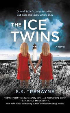The Ice Twins - Tremayne, S K
