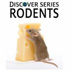 Discover Series Rodents: Discover Series Picture Book for Children