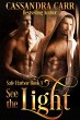 See the Light (Safe Harbor book 1)... - Bild 1