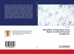 Nanofiber Production from Nylon 6 with Enhanced Toughness