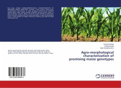Agro-morphological characterization of promising maize genotypes - Kandel, Krishna;Kandel, Pradip