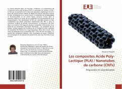 Les composites Acide Poly-Lactique (PLA) / Nanotubes de carbone (CNTs) - Riguelle, Benjamin