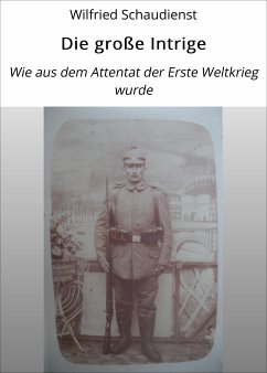 Die große Intrige (eBook, ePUB) - Schaudienst, Wilfried