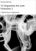 12 Orgasmen bis zum Fickstück 2 (eBook, ePUB)