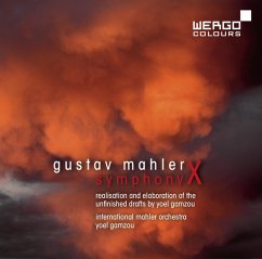 Symphony X.Realisation And Elaboration Of The - International Mahler Orchestra
